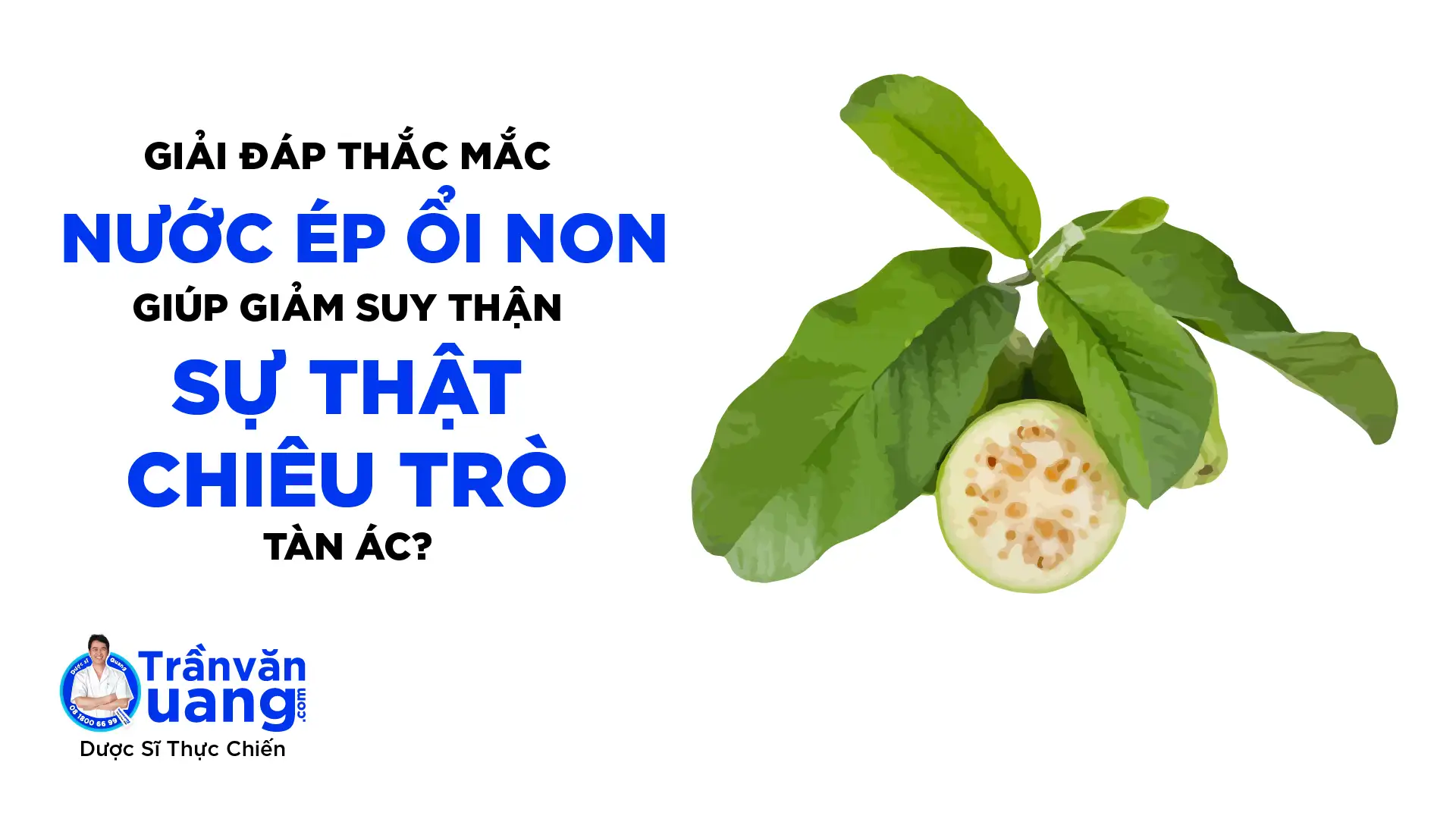 Giải đáp thắc mắc: Uống nước ép ổi non giảm suy thận?