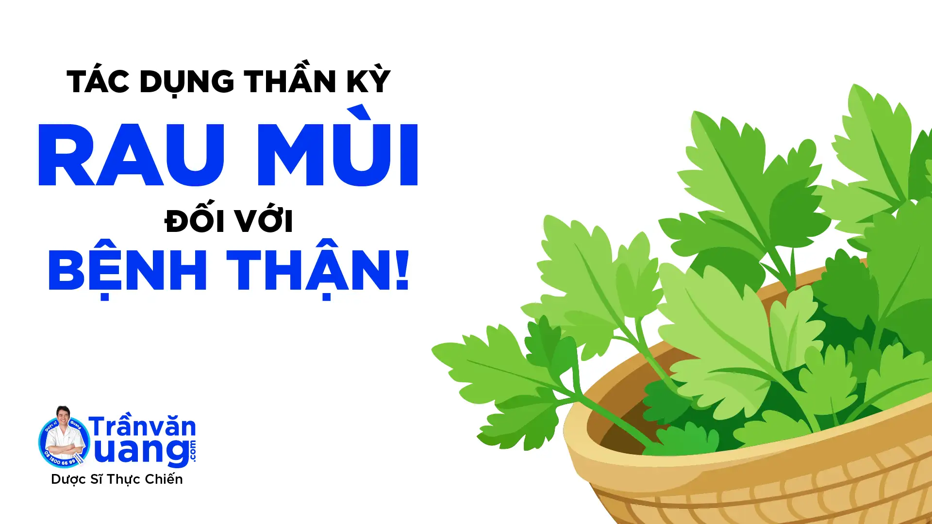 Tác dụng của rau mùi đối với bệnh thận