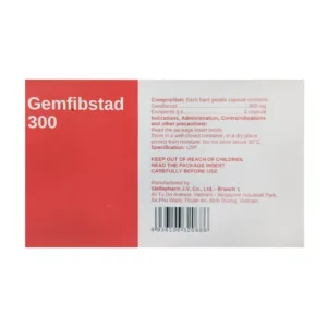 Gemfibstad 300 Stellapharm 6 vỉ x 10 viên