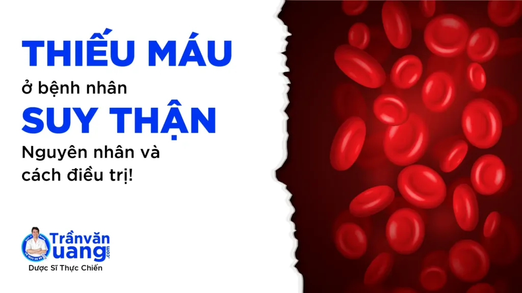 Thiếu máu ở bệnh nhân suy thận mạn - nguyên nhân và cách điều trị