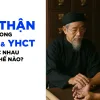Thận hư hay Suy thận trong y học cổ truyền khác gì với y học hiện đại?